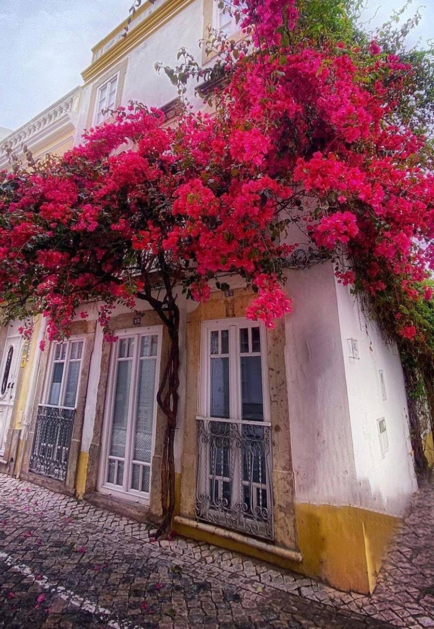 Вілла Elegant Studio Formosa In Taviras Historica Centre Екстер'єр фото